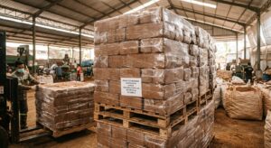 Bulk Supply of Cocopeat Pith from Indonesia: A Complete Guide