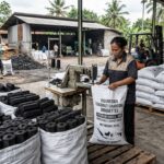 Coconut Charcoal Briquettes Wholesale Indonesia: A Complete Guide